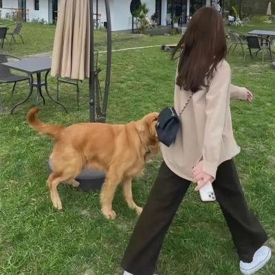 自我人生